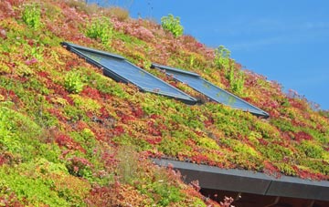Springthorpe living roof systems