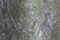 Springthorpe fibreglass roof work